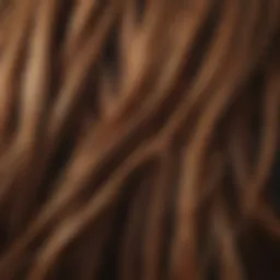 Close-up of healthy hair strands reflecting light