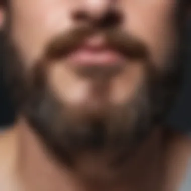 Illustration of Beard Growth Cycle Beard Growth Cycle Diagram