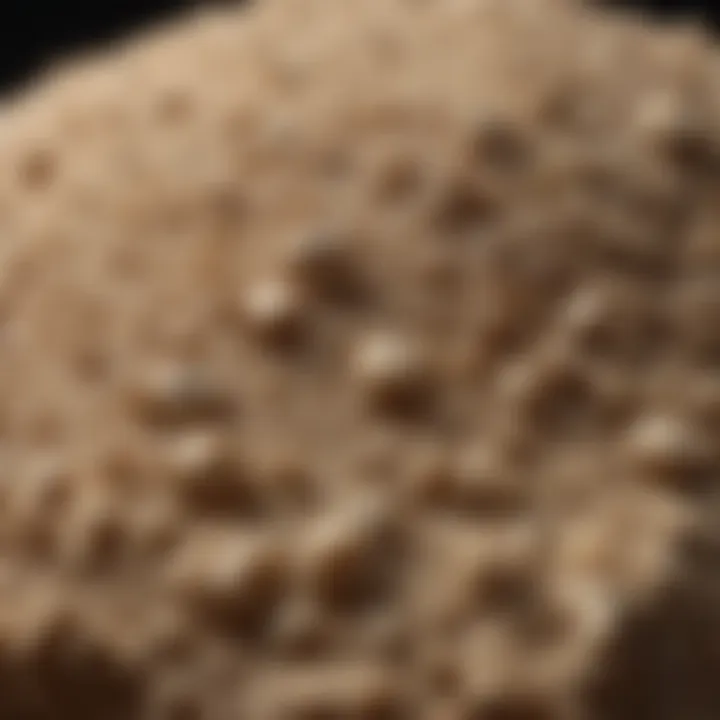 Close-up of natural exfoliating ingredients