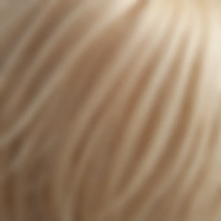 A close-up of a hair strand showcasing the bleaching effect