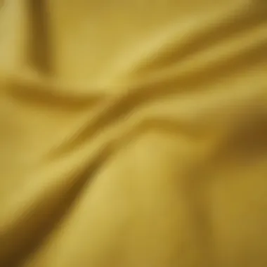 Close-up of textured fabric of lemon shorts