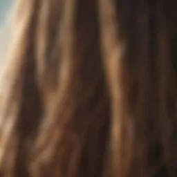 Close-up of healthy hair strands glistening under sunlight