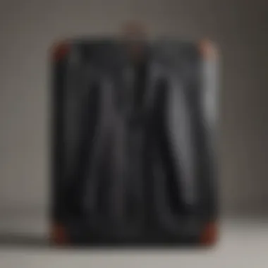 Elegant Garment Bag by Mr Porter