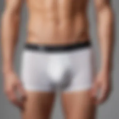 Stylish Calvin Klein cotton boxer brief with modern waistband design