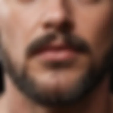 Close-up of a thick goatee showcasing hair density and grooming.