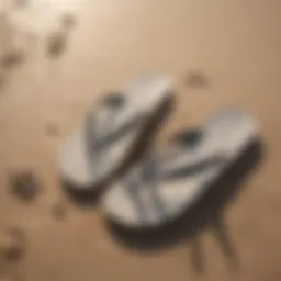 Stylish flip flops on a beach setting