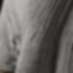 A close-up of Adidas shorts showcasing their fabric texture