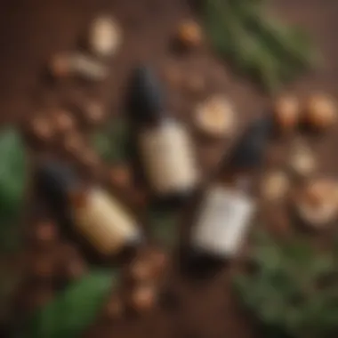 Natural Ingredients for Beard Care Close-up of natural ingredients used in beard oils, such as argan and jojoba