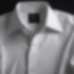 Classic dress shirt with a spread collar, showcasing elegance.