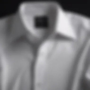Classic dress shirt with a spread collar, showcasing elegance.