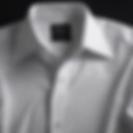 Classic dress shirt with a spread collar, showcasing elegance.