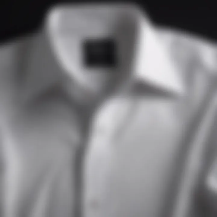 Classic dress shirt with a spread collar, showcasing elegance.