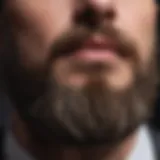 Close-up of a well-groomed beard with a subtle shine