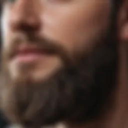 Close-up of a well-groomed beard showcasing texture and style