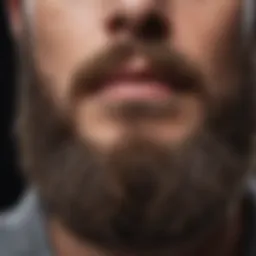 A close-up of a well-groomed beard showcasing its fullness and texture