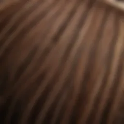 Close-up of healthy hair strands
