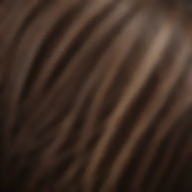 A close-up view of hair strands showing varying thickness.