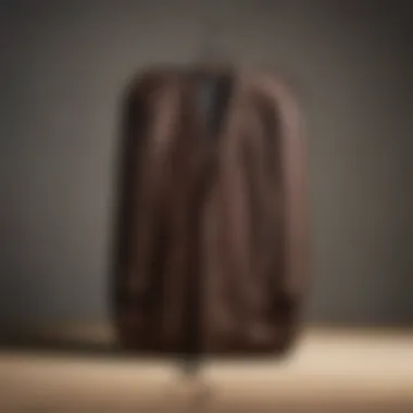 Luxurious Garment Bag for Fashion-Conscious Travellers