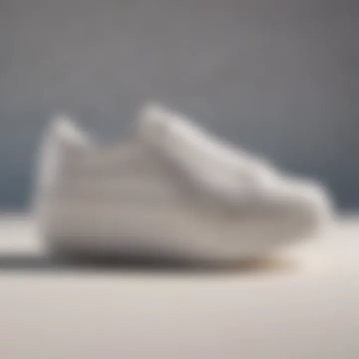 Minimalistic White Sneaker with Sleek Design