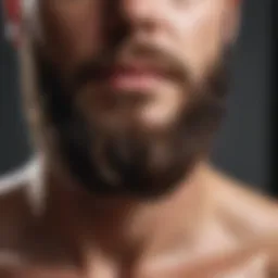 Organic beard oil ingredients