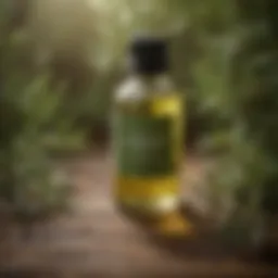 Organic Tea Tree Oil - Natural remedy for zit removal