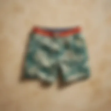 Palm tree shadow on LLBean board shorts