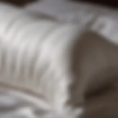 Silk pillowcase for gentle skin care while sleeping