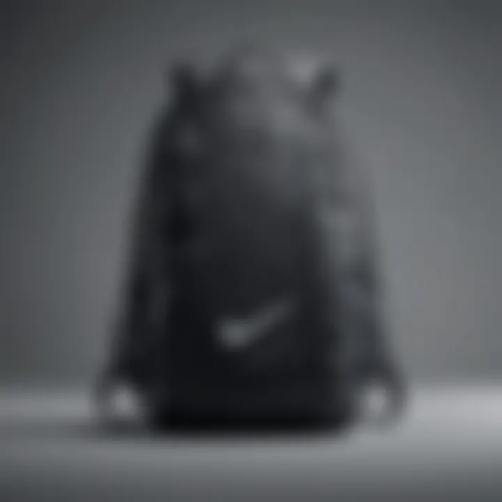 Sleek Nike Backpack