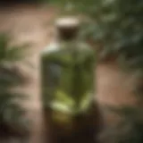 Tea Tree Oil Bottle with Green Leaves