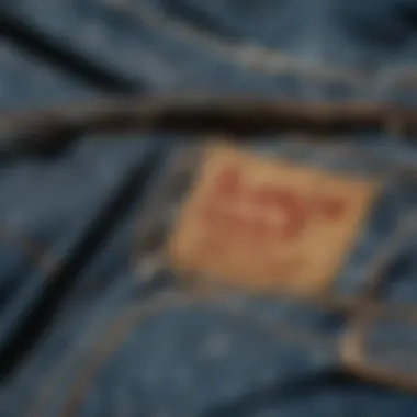 Close-up of fabric texture in ripped Levis