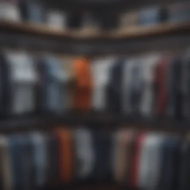 A well-organized wardrobe filled with assorted branded shirts