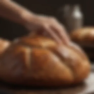 Innovative Techniques for Bread Proofing