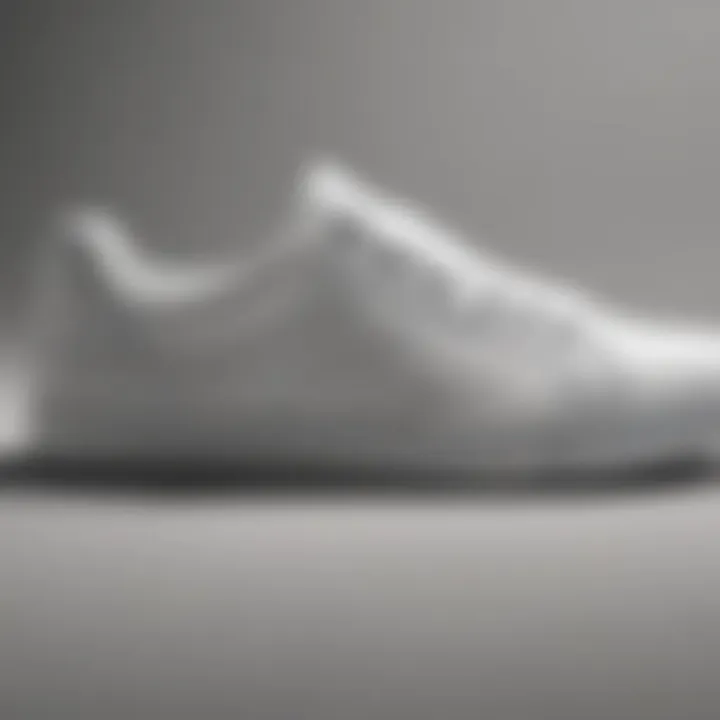 Minimalistic White Casual Shoes