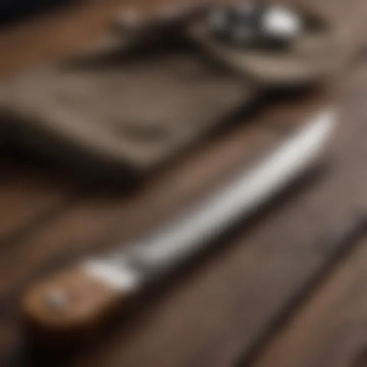Vintage Straight Razor on Elegant Wooden Handle